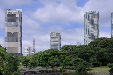 浜離宮からの景観