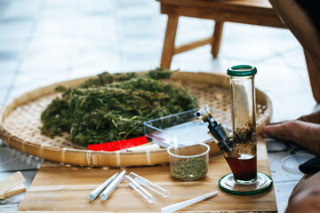 Portrait of a gardener examining a marijuana flower in a greenhouse herbal alternative treatment cbd oil pharmaceutical industry.