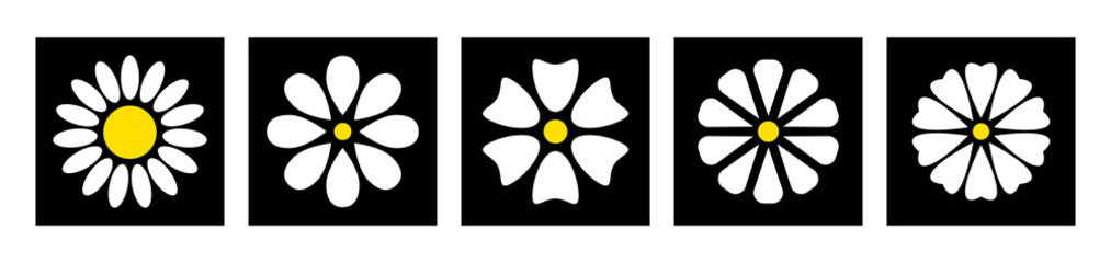 Daisy chamomile on black backdrop icon set. Cute flower plant