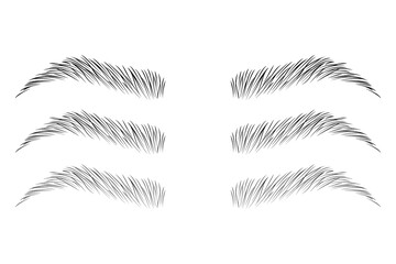  Eyebrow shape set, Fashion eyebrows of various shapes and types, Brown eyebrow bag, Brown eyebrow vector, Brown eyebrows isolated on white background, eyelash