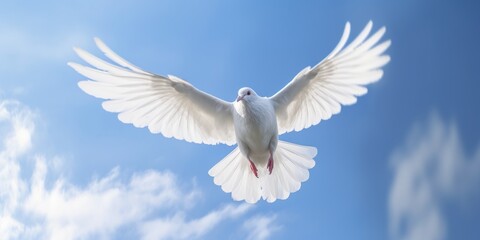 Fototapeta na wymiar International Peace Day, White Dove Flying on Blue Sky Background, Bird of Peace Symbol. Generative Ai
