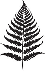 Boston Fern Leaf Black And White, Vector Template Set for Cutting and Printing