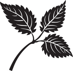 Blackberry Leaf Black And White, Vector Template Set for Cutting and Printing