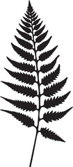 Boston Fern Leaf Black And White, Vector Template Set for Cutting and Printing