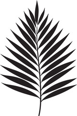 Coconut Leaf Black And White, Vector Template Set for Cutting and Printing