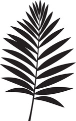 Coconut Leaf Black And White, Vector Template Set for Cutting and Printing