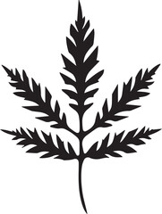 Needle-like leaf Black And White, Vector Template Set for Cutting and Printing