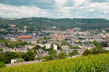 Fototapeta na wymiar Vineyard with view of the ancient roman city of Trier, the Moselle Valley in Germany, landscape in rhineland palatine 