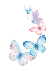 Butterflies Watercolor wreath isolated on white background. - obrazy, fototapety, plakaty