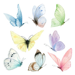 Watercolor set of bright hand painted butterflies. - 620428949