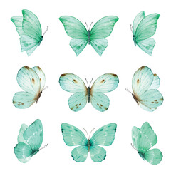 Watercolor set of bright turquoise hand painted butterflies.