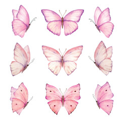 Watercolor set of bright pink hand painted butterflies. - 620429512