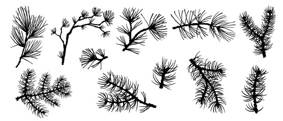 Silhouette of coniferous spruce, pine, arborvitae. Elements of Christmas and New Year's decor. Vector graphics.