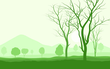Fototapeta na wymiar deciduous trees in the field, green landscape background