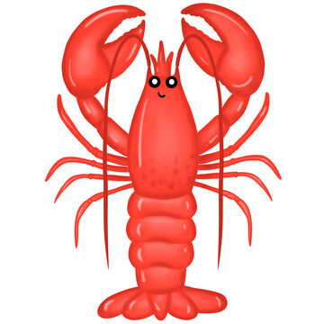 recommend clip art: shrimp