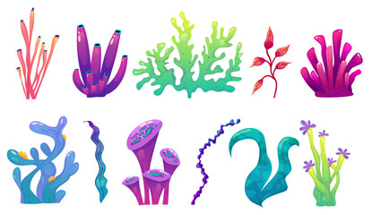 Coral reef underwater set with algae. Seaweed ocean plant. Coral set undersea fauna. Cartoon Reef isolated. Cartoon Vector design.