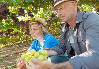 Winemakers father and son in vineyard