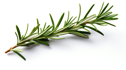 Fototapeta premium Generative AI : rosemary