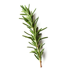 Obraz premium Generative AI : rosemary