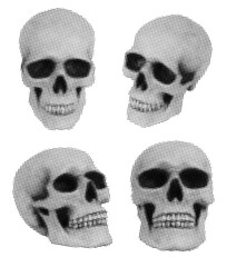 Half-tone illustration of black and white skulls in retro, pop art. 