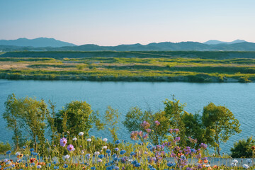 a field of flowers with mountains in the background along the river's waterways