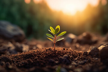 Global Goal of Eco-Friendly for the Environmental Crisis.