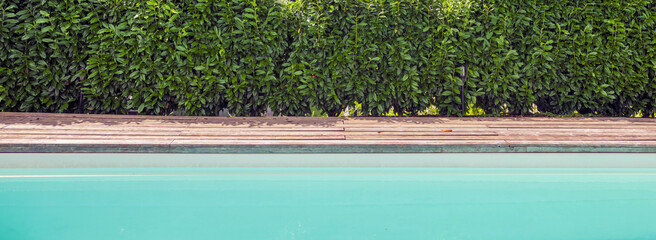 A hedge from cherry laurel as a privacy screen behind the pool in the garden