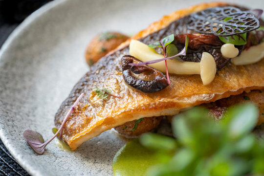 Roasted branzino fish filet with marinated mushrooms, asparagus sauce and butter potatoes. Selective focus.