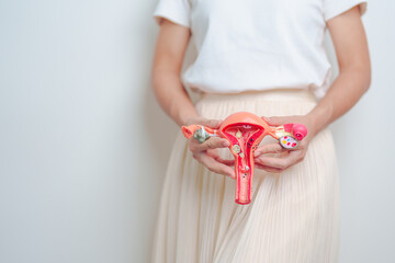 Woman holding Uterus and Ovaries model. Ovarian and Cervical cancer, Endometriosis, Hysterectomy,...