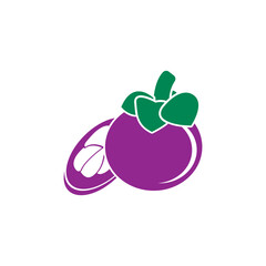 Vector mangosteen icon logo vector design template