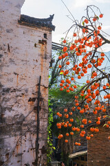 Ancient Villages and Natural Scenery in the Mountainous Areas of Anhui Province, China