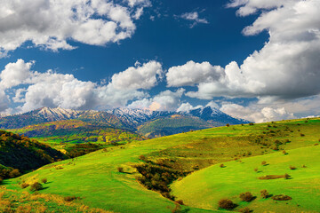 Hills and mountains covered with young green grass and illuminated by the sun on a sunny day. - Powered by Adobe