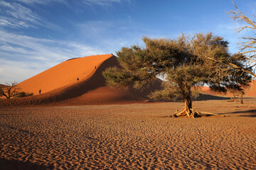 sossusvlei 