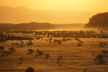 Fototapeta na wymiar Golden hour in Namibia