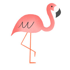 Animal Flamingo Decorative Hand Drawn Illustration Elements