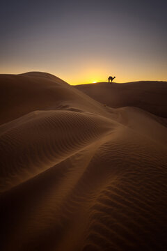 sunset in the desert country © hamid
