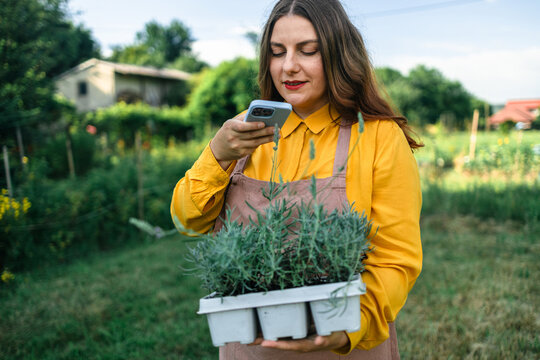 Shot of an happy female Caucasian farmer taking photo by smart phone, carrying flower pot with lavender while taking care of plants in the beautiful garden field. 