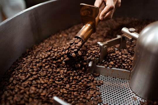 Professional coffee roaster working with modern automated roasting machine in the coffee roasting factory. Food and beverage business concept.
