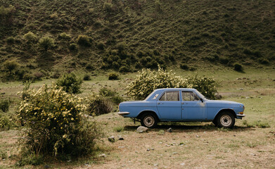 Obraz na płótnie Canvas An old car is standing in the mountains among blooming shrubs.
