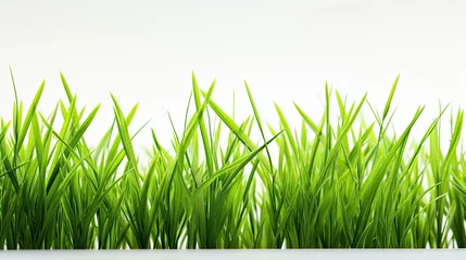 Wall murals Grass Close up of green blades of grass against a white background