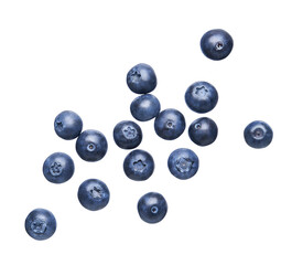 Group of fresh blueberries isolated - obrazy, fototapety, plakaty
