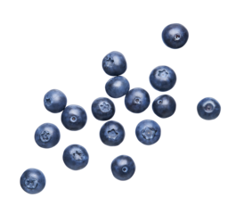 Group of fresh blueberries isolated