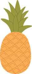 Pineapple icon vector illustration in a flat style