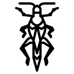 locust bug insect animal