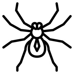 spider bug insect animal