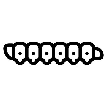 cutworm bug insect animal