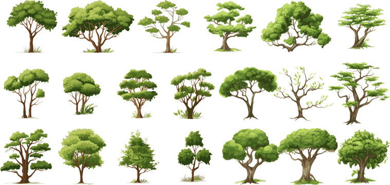 Tree Set Graphic Clipart Design White Background.