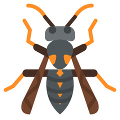 wasp bug insect animal
