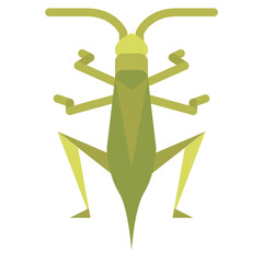 grasshopper bug insect animal