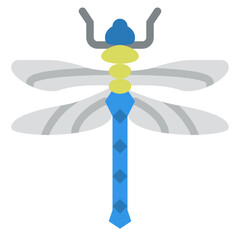 dragonfly bug insect animal